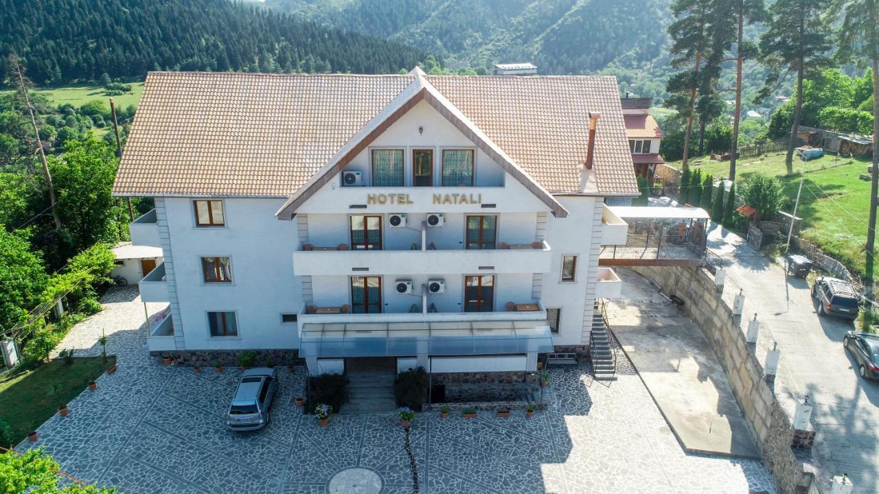 Natali Hotel Bordžomi Exteriér fotografie