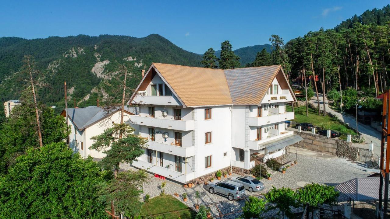 Natali Hotel Bordžomi Exteriér fotografie