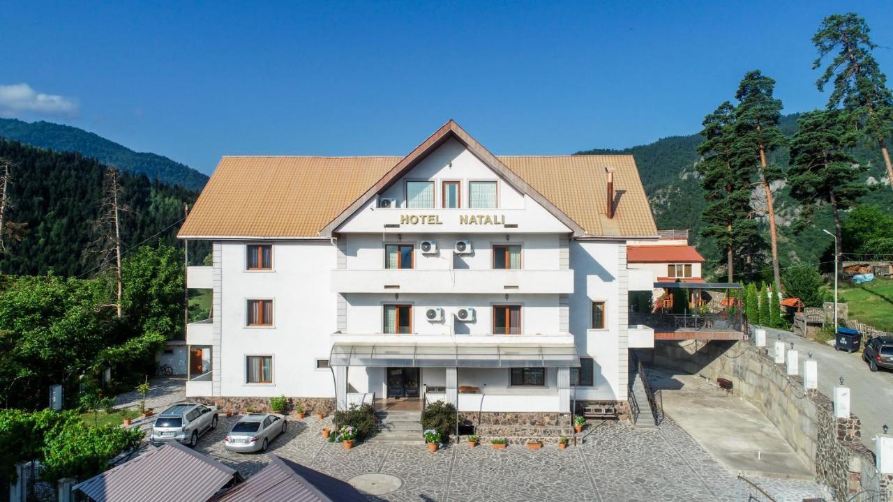 Natali Hotel Bordžomi Exteriér fotografie