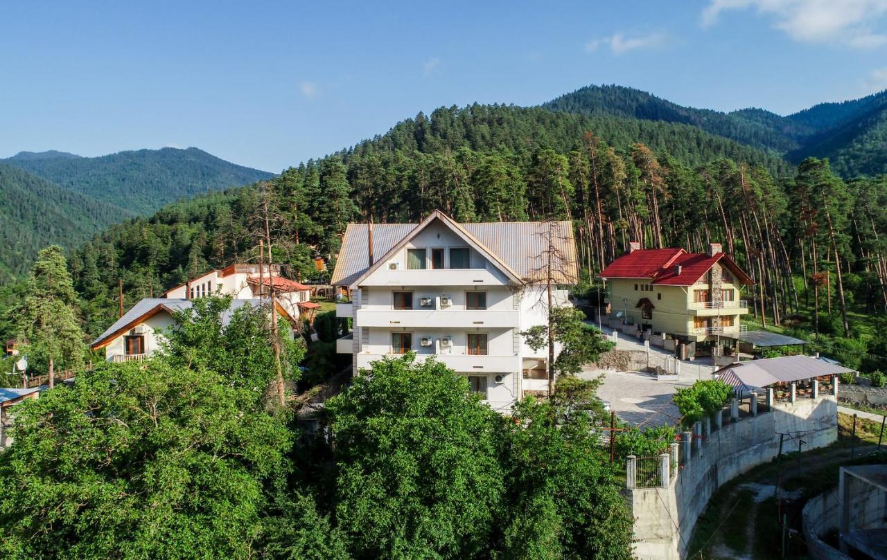 Natali Hotel Bordžomi Exteriér fotografie
