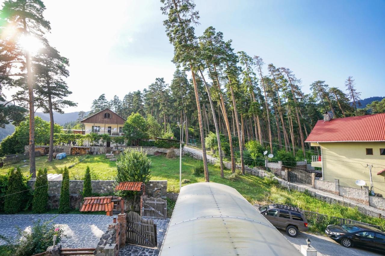 Natali Hotel Bordžomi Exteriér fotografie