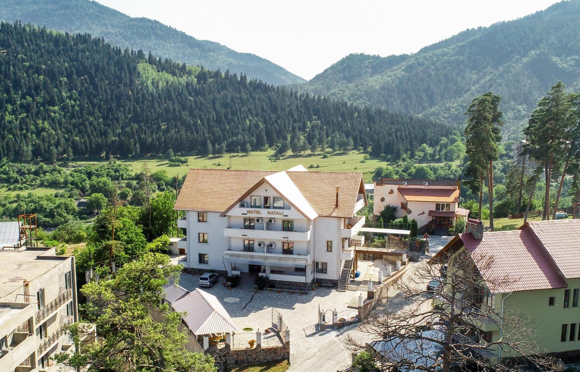 Natali Hotel Bordžomi Exteriér fotografie
