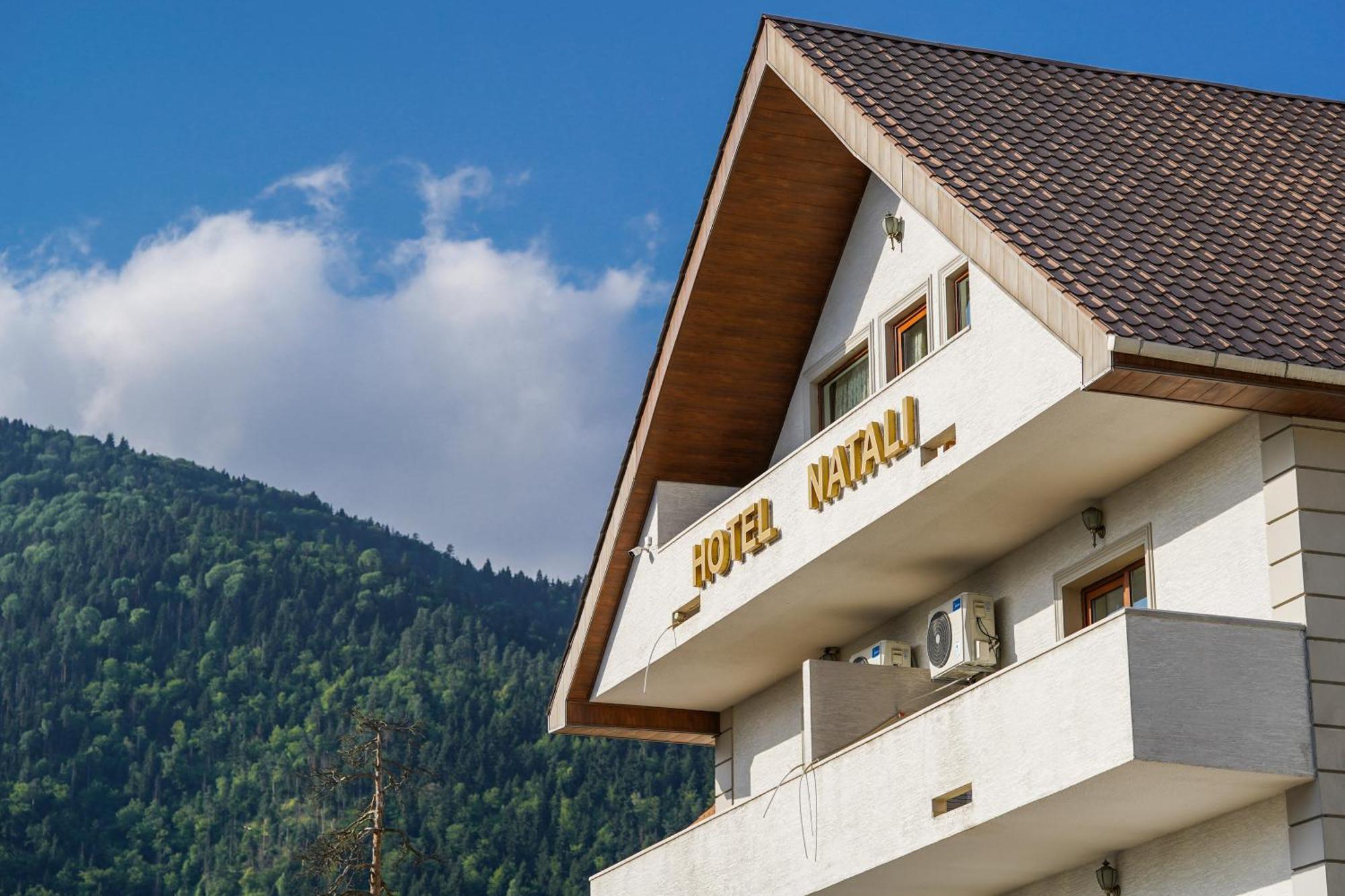 Natali Hotel Bordžomi Exteriér fotografie